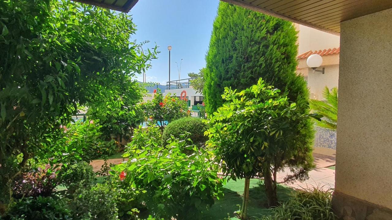 Appartamento JARDINES GANDIA- Solo Familias Playa de Gandia Esterno foto
